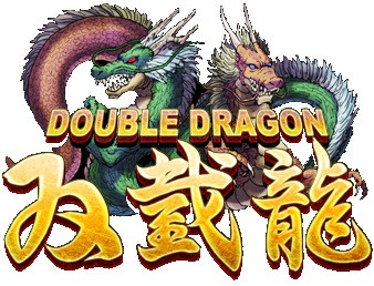 Серия Double Dragon для приставок NES