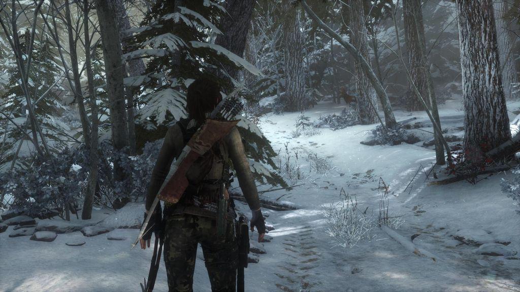 Как пройти rise of the tomb raider