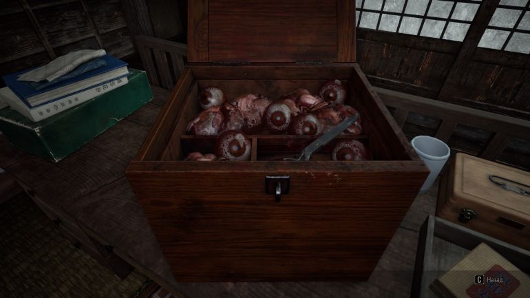 Обзор Silent Hill f