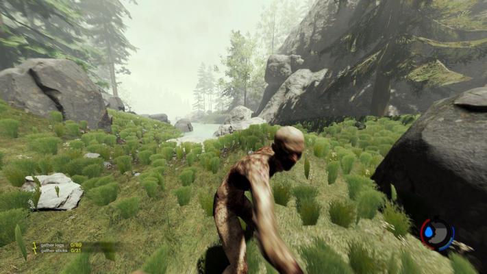 The Forest. Survival horror с открытым миром от Endnight Games